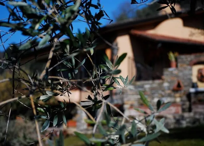 Conca Di Sopra Home